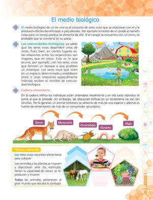 4to. de Primaria " CIENCIAS SOCIALES" - Imagen 3