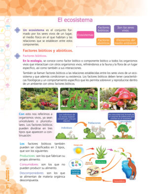 4to. de Primaria " CIENCIAS SOCIALES" - Imagen 4