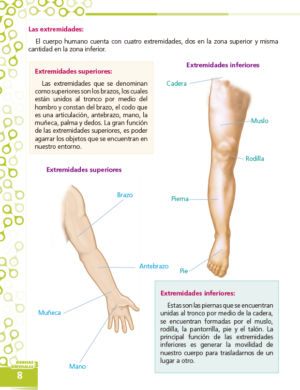 3ro. de Primaria "CIENCIAS SOCIALES" - Imagen 4
