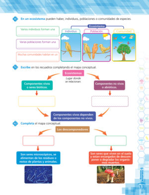 4to. de Primaria " CIENCIAS SOCIALES" - Imagen 5