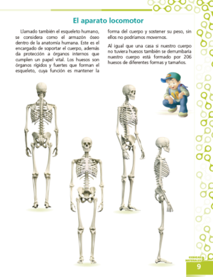 3ro. de Primaria "CIENCIAS SOCIALES" - Imagen 5