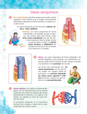 4to. de Primaria " CIENCIAS SOCIALES" - Imagen 6