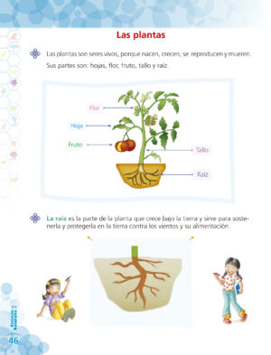 2do. de Primaria " CIENCIAS SOCIALES" - Imagen 5