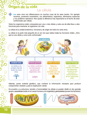 5to. de Primaria "CIENCIAS SOCIALES" - Imagen 7