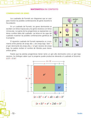 3ro. de Secundaria "MATEMÁTICAS" - Imagen 8
