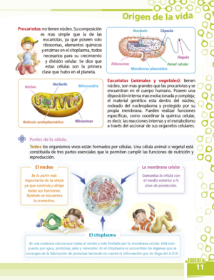 5to. de Primaria "CIENCIAS SOCIALES" - Imagen 8