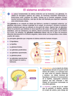 6to. de Primaria " CIENCIAS SOCIALES" - Imagen 7