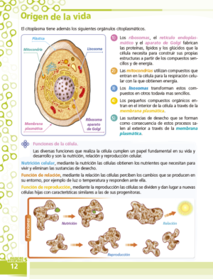 5to. de Primaria "CIENCIAS SOCIALES" - Imagen 9