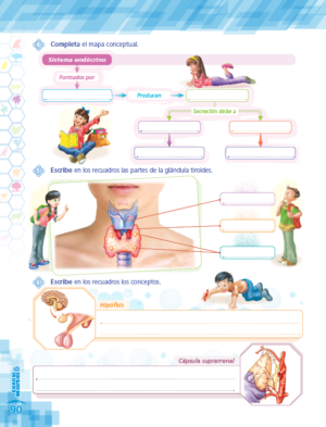 6to. de Primaria " CIENCIAS SOCIALES" - Imagen 8