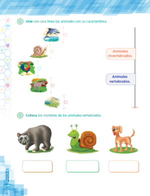 2do. de Primaria " CIENCIAS SOCIALES" - Imagen 9
